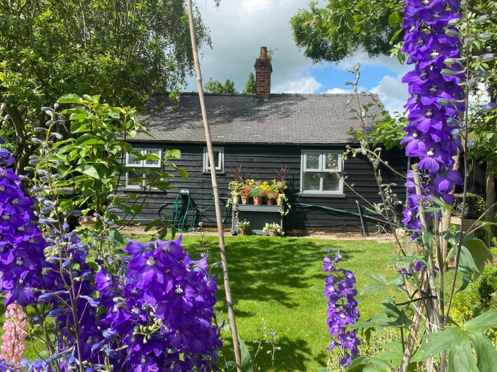 Thompsons Cottageベバリー エクステリア 写真