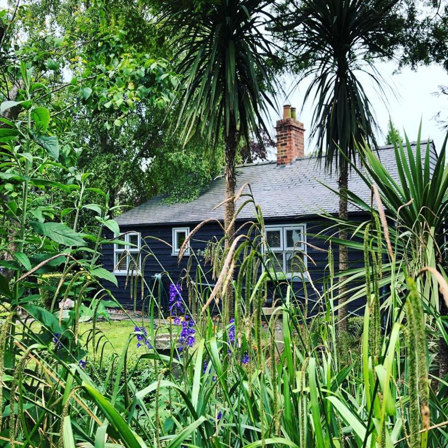 Thompsons Cottageベバリー エクステリア 写真